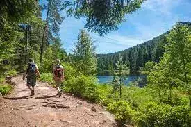 The 7 Best Walks & Hikes In Germany