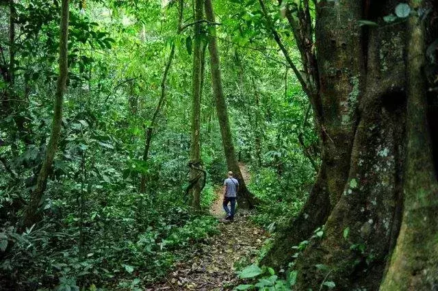 National Parks in Vietnam