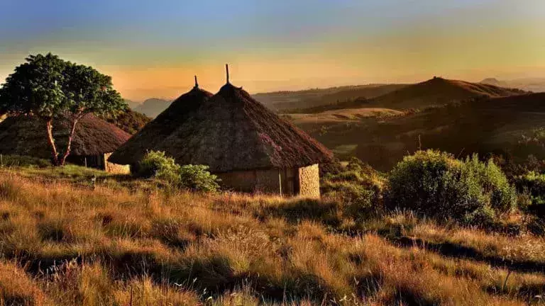 africa safaris