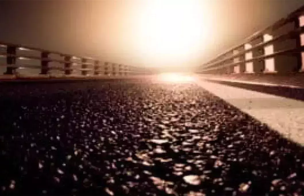 The Siren Bridge, Siren