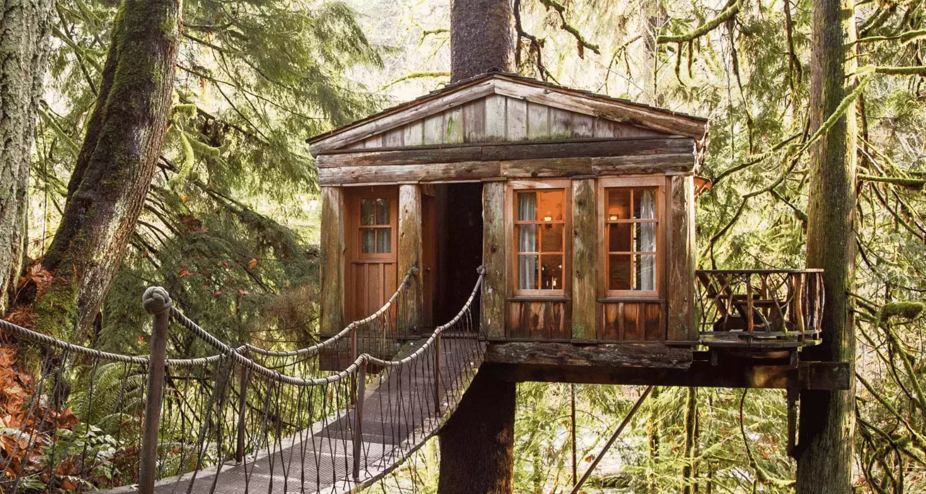 Treehouse for rent best in world