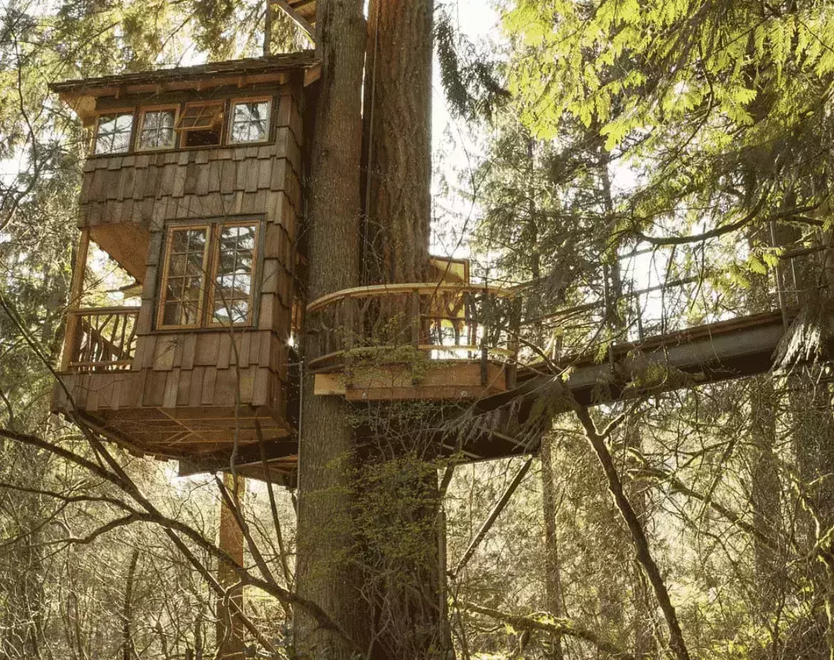 Treehouse point