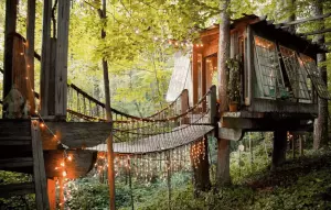 7 Treehouses You Can Stay In That Will Blow Your Mind