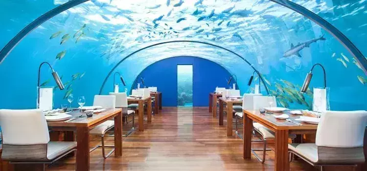 underwater experiences Maldives