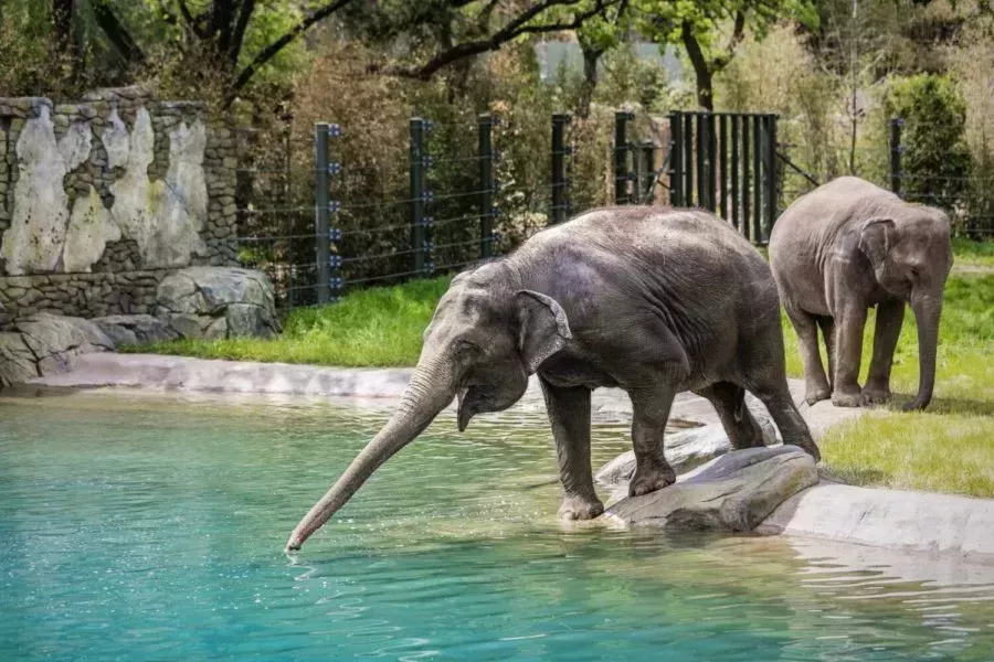 Fort Worth Zoo