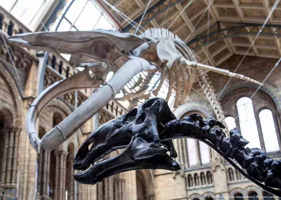 virtual tour museum