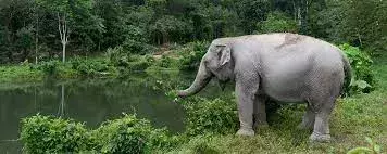Time to visit Thailand