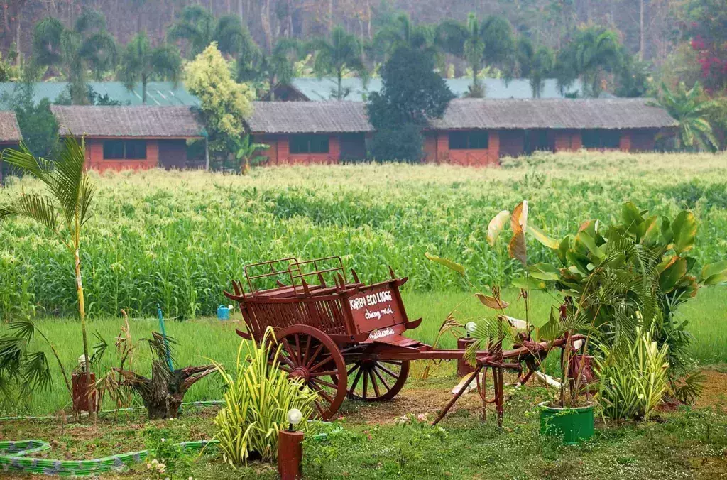 farm