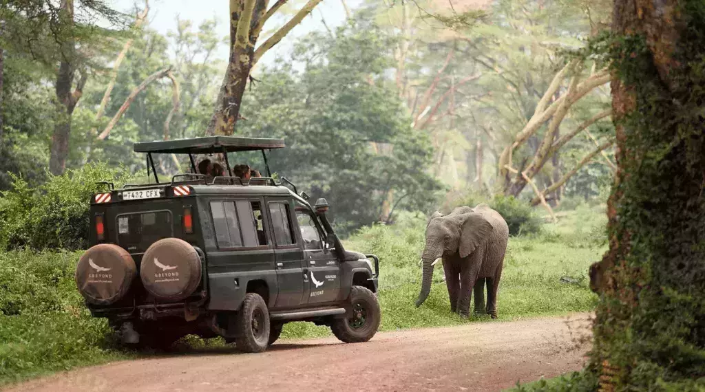 Exotic Glamping Spots 