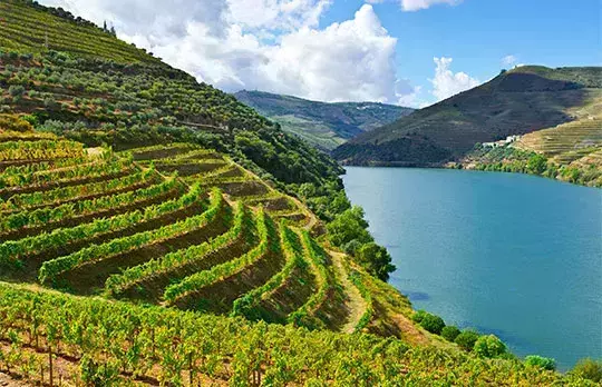 Valle del Duero