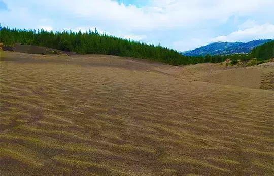 Desierto de Palmira