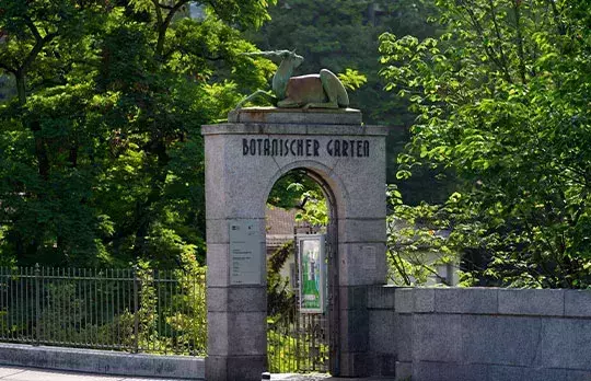 El Jard&amp;amp;amp;amp;amp;amp;amp;amp;amp;iacute;n Bot&amp;amp;amp;amp;amp;amp;amp;amp;amp;aacute;nico