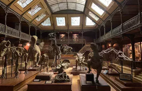 El Musée Miniature et Cinéma