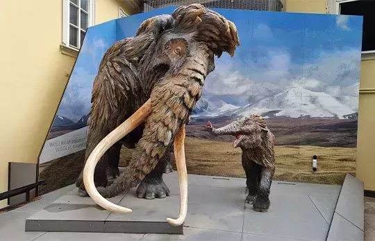 El Museo de Historia Natural y Tecnología de Salzburgo