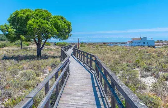 El Parque Natural de Ria Formosa