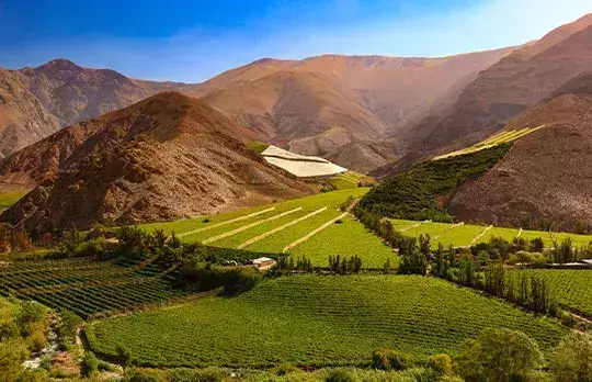 Valle del Elqui