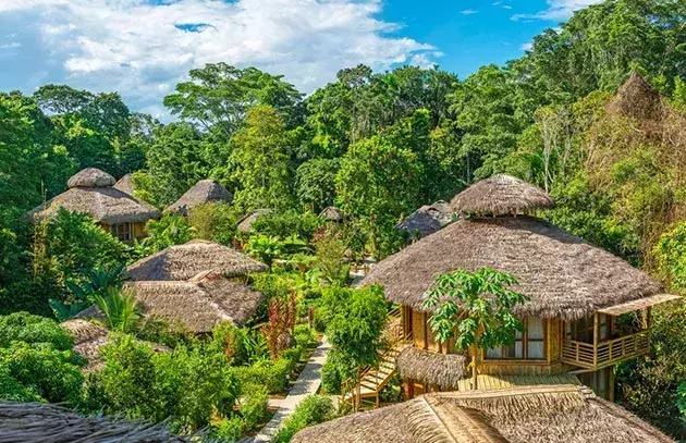 Le parc national Yasuni