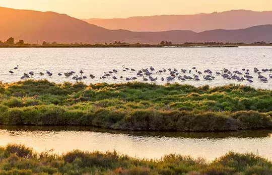Le Parc Naturel du Delta de l’Ebre