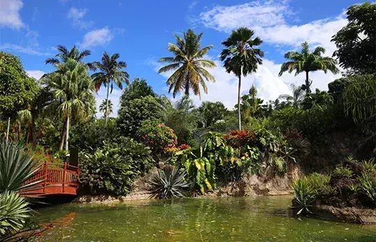 Le jardin botanique de Deshaies