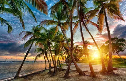 Guadeloupe