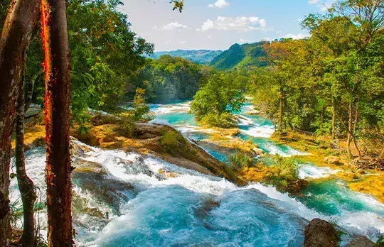 La route pittoresque de Chiapas