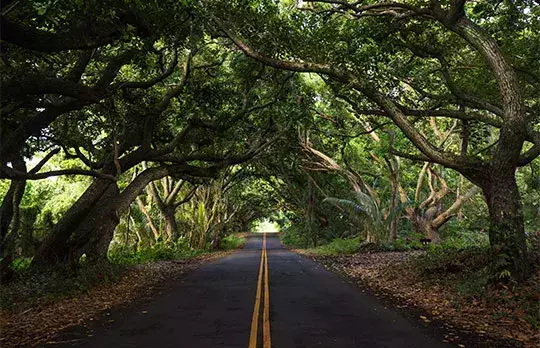 Hana Highway