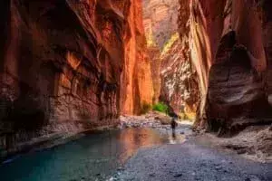 las vegas to zion national park