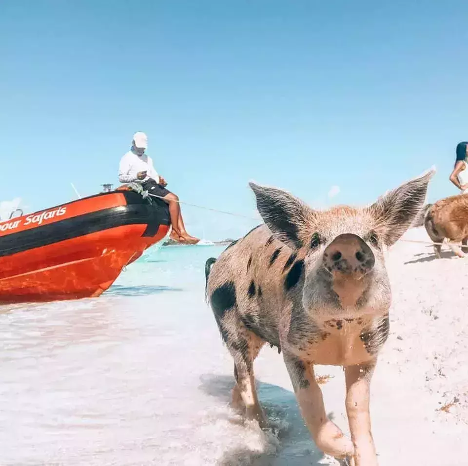 Miami Day Trips