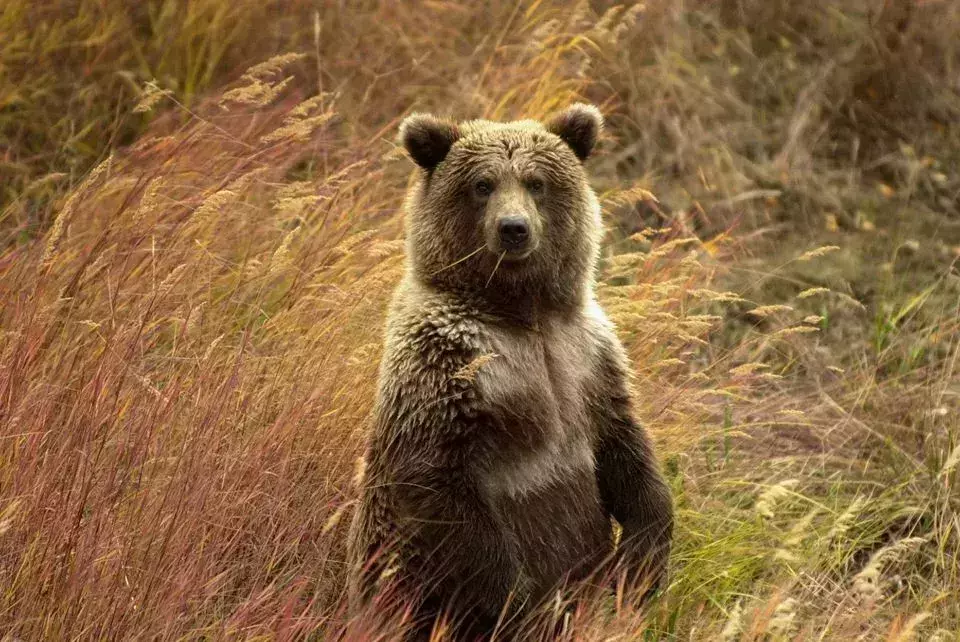 alaska national park