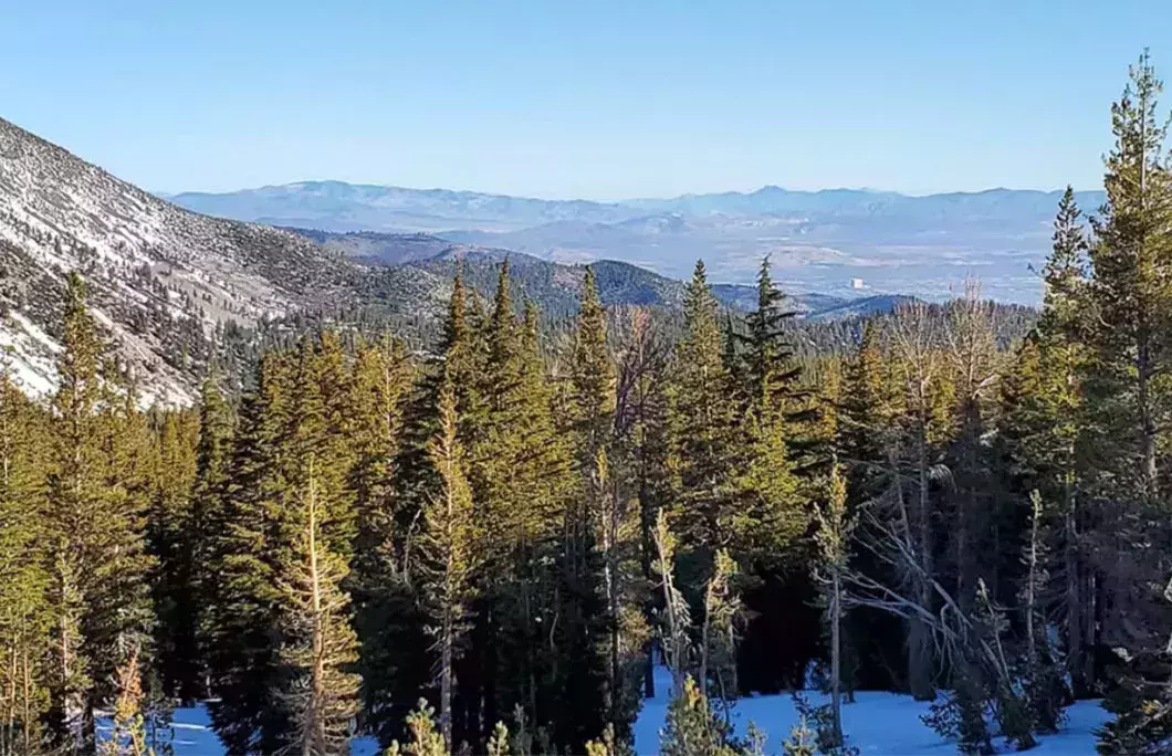 Mt. Rose Scenic Drive