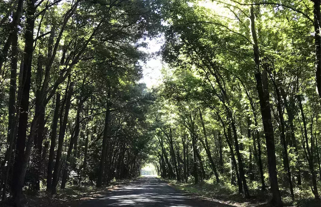 Eastern Shore