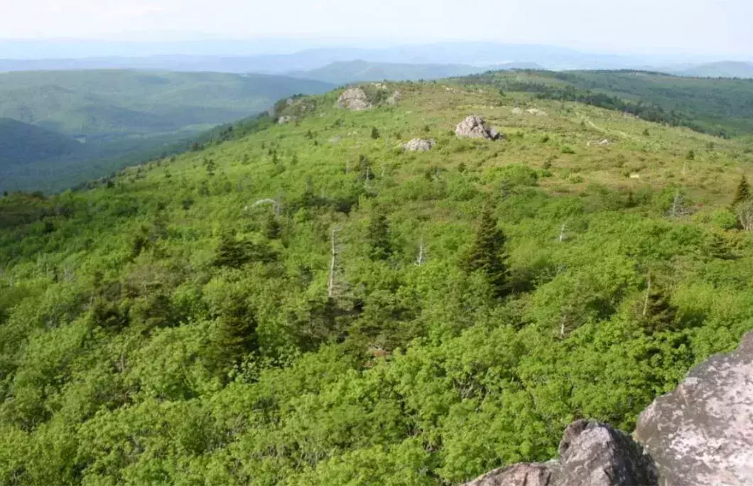 Mount Rogers Scenic Byway