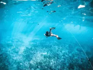 7 of the Best Places for Snorkelling in Key West
