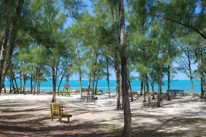 Best Places for Snorkelling in Key West
