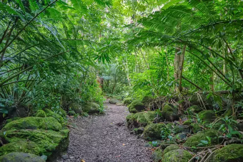 Manoa Valley