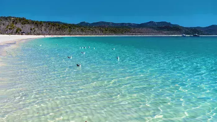 best places for snorkeling in the U.S. Virgin Islands