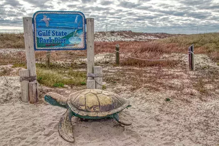 Orange Beach, Alabama, USA 1-15-19