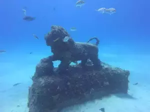7 of the Best Places for Snorkelling in Miami