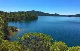 California watering hole