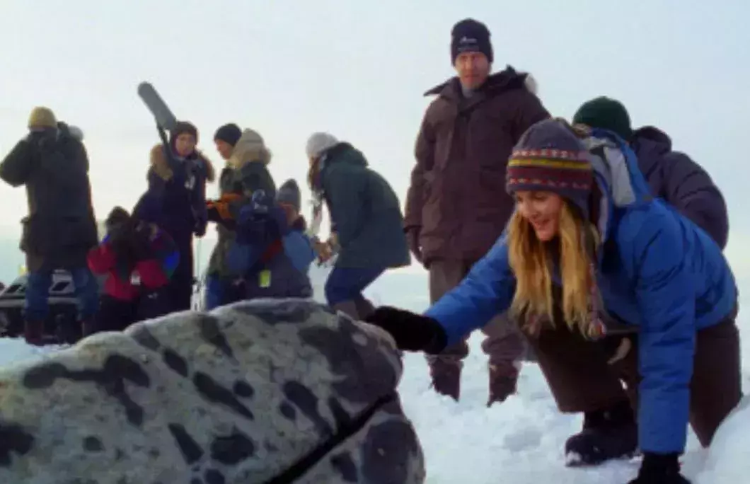 Big Miracle (2012)