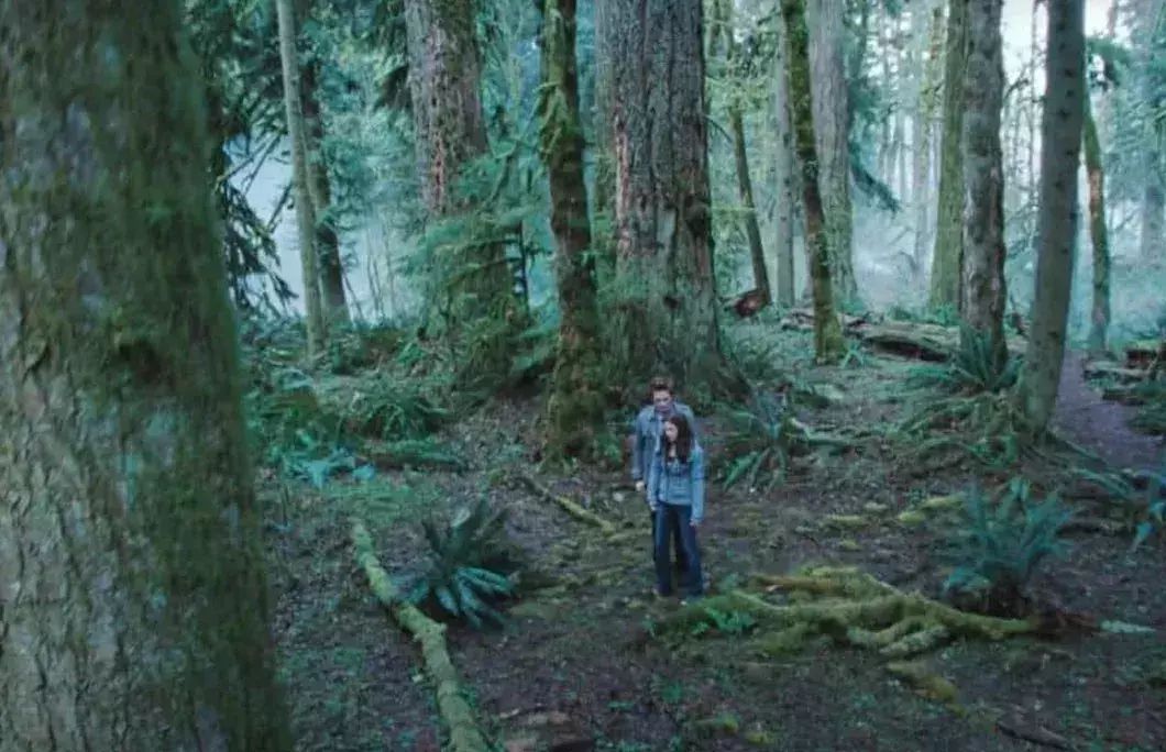 Twilight (2008)