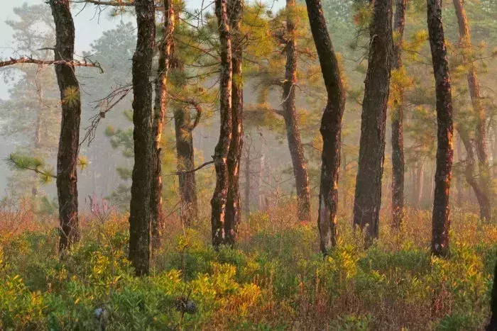 haunted places in New Jersey