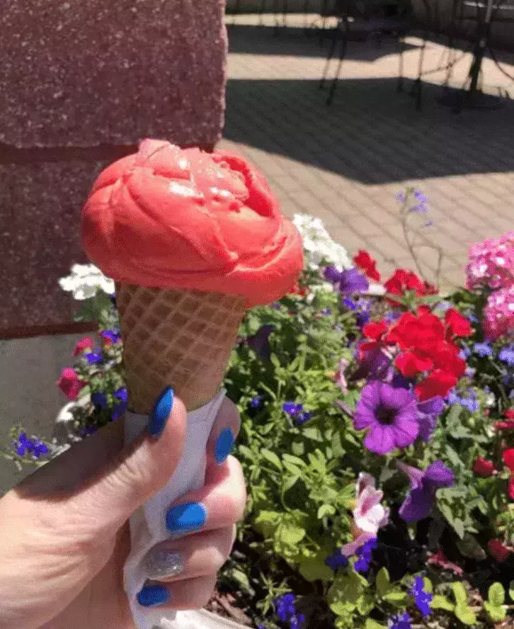 Batavia Creamery in America