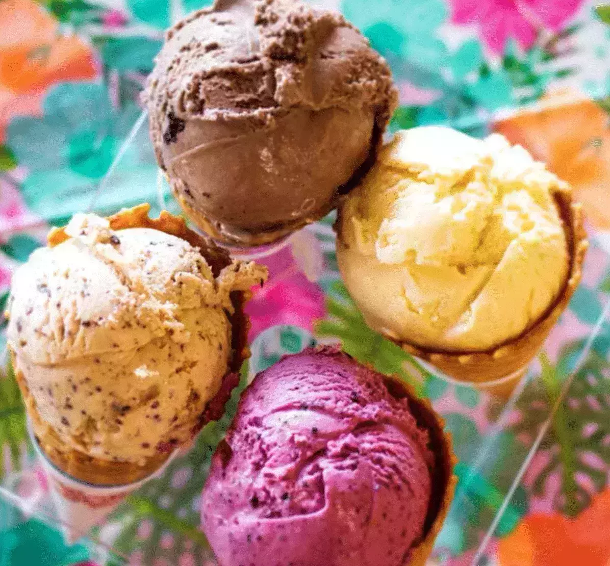 Moo&amp;amp;amp;amp;#039;s Gourmet Ice Cream in America