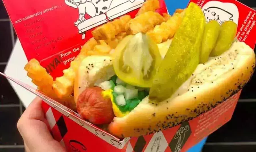 Best Hot Dogs In Chicago