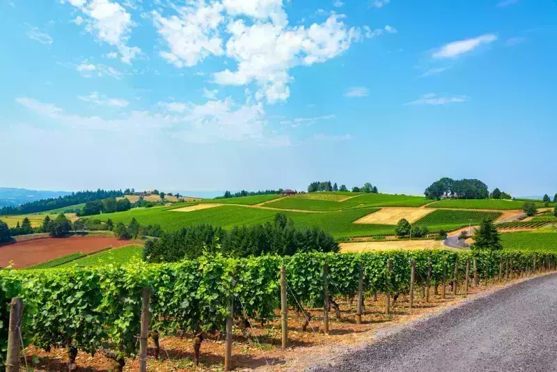 best wineries Oregon