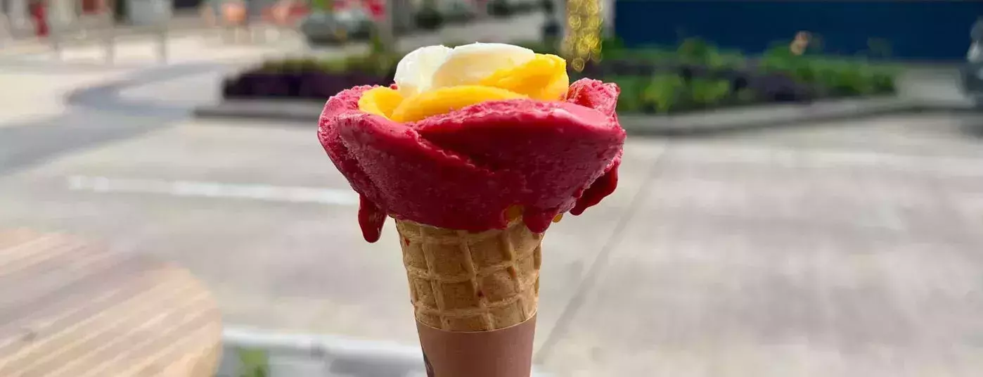 Houston Ice Cream