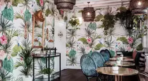 The 7 Most Instagrammable Cafes In San Diego