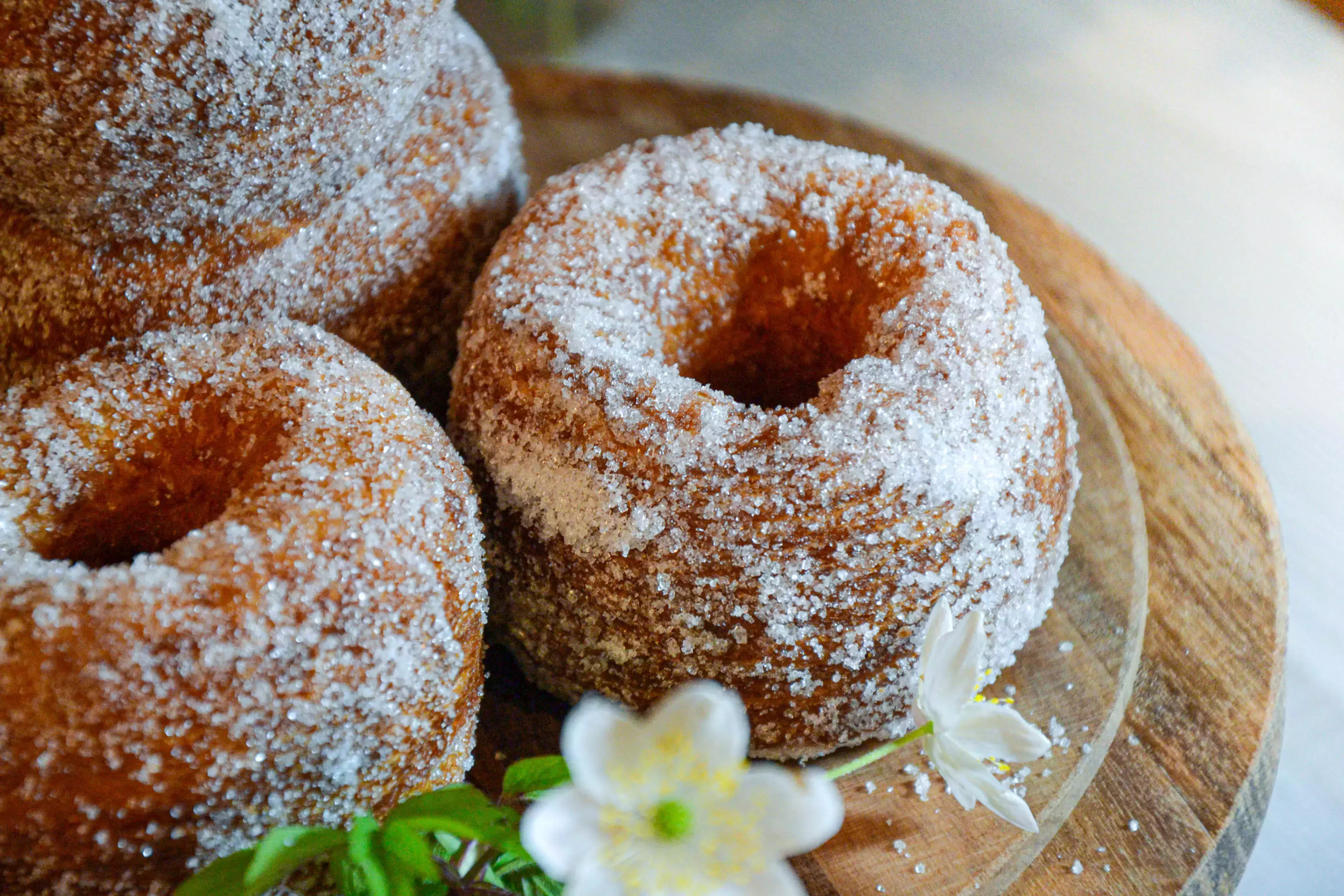 Best Donuts In Houston