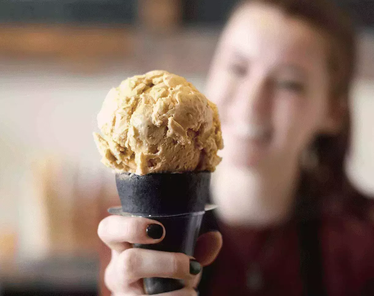Utah Ice Cream